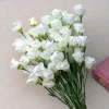 Lisianthus Seeds - Solo White F1 Eustoma - 25 Pure White Flower Seeds - Image 1