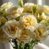 Lisianthus Seeds - Voyage 2 Yellow - 25 Seeds - Soft Apricot Double Ruffled Blooms - Image 1
