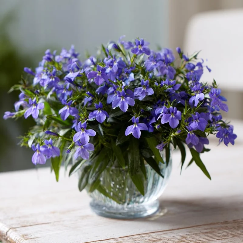 Lobelia Crystal Palace Seeds - Violet-Blue Edging Flowers, 50 Seeds - Image 4