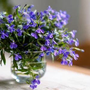 Lobelia Crystal Palace Seeds - Violet-Blue Edging Flowers, 50 Seeds - Image 6