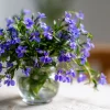 Lobelia Crystal Palace Seeds - Violet-Blue Edging Flowers, 50 Seeds - Image 1