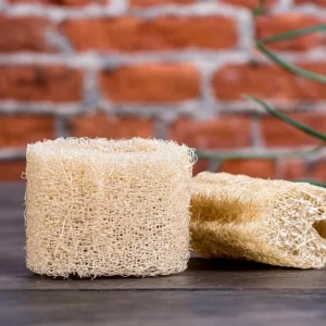 Luffa Gourd Seeds - 15 Count Heirloom Edible & Natural Sponge Variety - Image 4