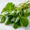 Malabar Spinach Seeds - 50 Seeds - Heat-Tolerant, Edible Climbing Vine - Image 1