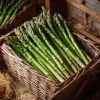 Mary Washington Asparagus Seeds - Heirloom Perennial Vegetable, 50 Seeds - Image 1