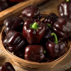 Mini Chocolate Sweet Bell Pepper Seeds - 20 Count, High-Yield, Compact - Image 4