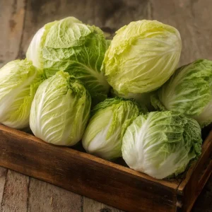 Mini Napa Cabbage Seeds – 50 Count – Compact Chinese Cabbage for Containers - Image 3
