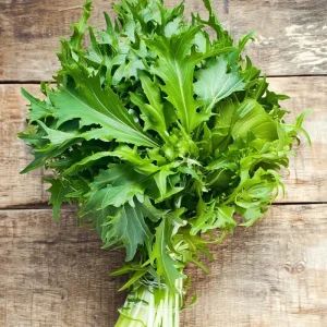 Mizuna Mustard Greens Heirloom Seeds - 250 Seed Packet - Fast-Growing Leafy Green - Image 3