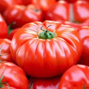 Mortgage Lifter Tomato Seeds - Heirloom Large Beefsteak - 30 Seeds for Planting - Image 1