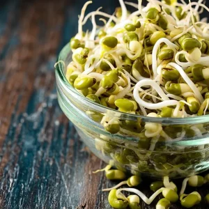 Mung Bean Sprouting Seeds - 500 Count, Easy-to-Grow, Nutritious - Image 3