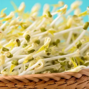 Mung Bean Sprouting Seeds - 500 Count, Easy-to-Grow, Nutritious - Image 6