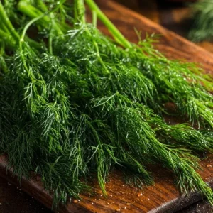 Organic Bouquet Dill Seeds – Anethum graveolens – 100 Seeds – Aromatic Culinary Herb - Image 4