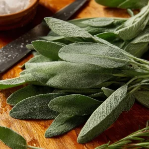 Organic Broadleaf Sage Seeds – Culinary Herb, Hardy Perennial, 50 Seeds - Image 3