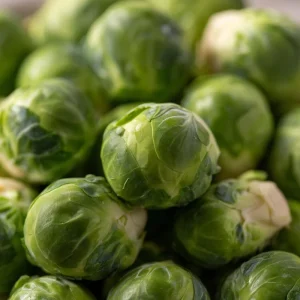 Organic Brussels Sprouts Seeds - Heirloom Mini Cabbage (50 Seeds) - Easy to Grow for Gardens & Containers - Image 2