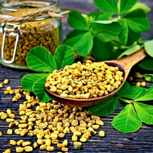 Organic Fenugreek Seeds – Culinary Herb – 250 Seeds – Trigonella foenum-graecum - Image 1