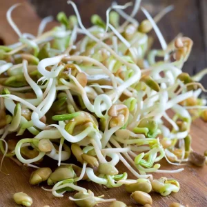 Organic Fenugreek Seeds – Culinary Herb – 250 Seeds – Trigonella foenum-graecum - Image 4