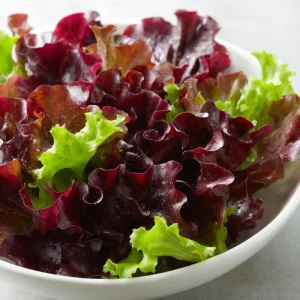 Organic Lollo Rosso Lettuce Seeds – Red Salad Bowl, 250 Seeds - Image 2