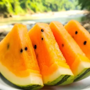 Organic Orange Tendersweet Watermelon Seeds - 15 Seeds - Sweet & Juicy Heirloom - Image 1