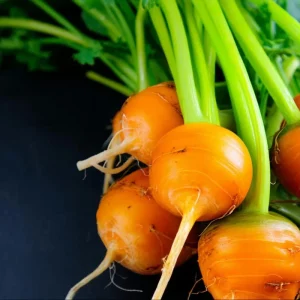 Organic Parisian Carrot Seeds – Heirloom Round Carrots – 250 Seeds – Easy Grow - Image 3