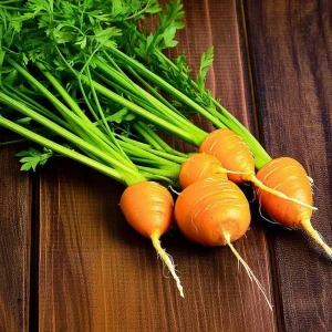 Organic Parisian Carrot Seeds – Heirloom Round Carrots – 250 Seeds – Easy Grow - Image 1