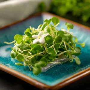 Organic Wasabi Mustard Microgreen Seeds - 10 Grams, Hot Flavor, Heirloom - Image 3