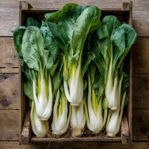 Pak Choi Chinese Cabbage White Stem Seeds – 150 Seeds – Easy to Grow - Image 2