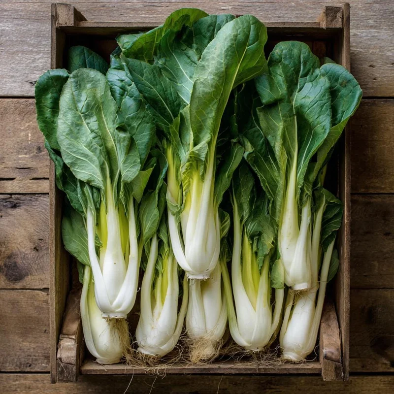 Pak Choi Chinese Cabbage White Stem Seeds – 150 Seeds – Easy to Grow - Image 2