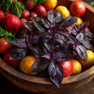 Purple Ruffles Basil Seeds - Heirloom Aromatic Herb, 150 Seeds - Image 5