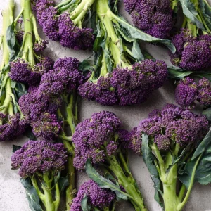 Purple Sprouting Broccoli Seeds – 150 Count – Heirloom Winter Vegetable - Image 4