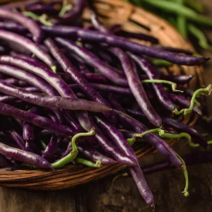 Purple Yard Long Bean Seeds - 10 Count - Vining Legume for Gardens - Image 2