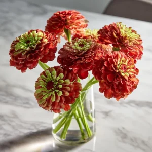 Queen Red Lime Zinnia Seeds - 10 Count Packet - Zinnia Elegans Blooms - Image 3