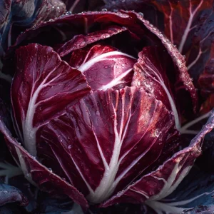 Radicchio Palla Rossa Chicory Seeds - 100 Seeds for Salads & Gardens - Image 3