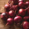 Red Creole Onion Seeds - 200 Heirloom Short Day Onions for Garden - Image 1