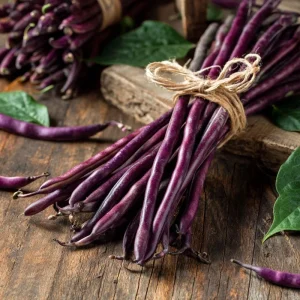 Royal Burgundy Bush Bean Seeds – Heirloom Purple Green Beans – 50 Seeds - Image 4