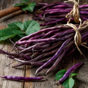 Royal Burgundy Bush Bean Seeds – Heirloom Purple Green Beans – 50 Seeds - Image 1