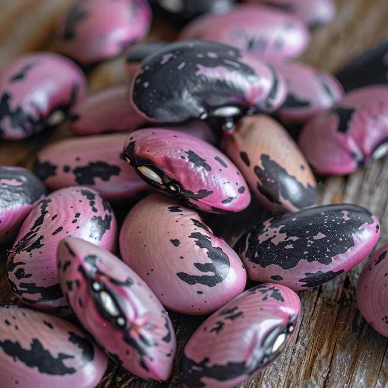 Scarlet Runner Bean Seeds (15) - Heirloom, Red Flowers, Edible Beans, Outdoor - Image 4