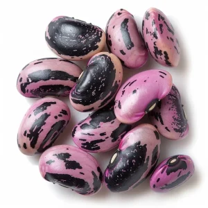 Scarlet Runner Bean Seeds (15) - Heirloom, Red Flowers, Edible Beans, Outdoor - Image 5