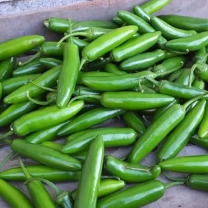 Serrano Pepper Live Plant - 2 Plants per 4-inch Pot, 100 Days Old, Hot Pepper Plant for Year-Round Harvest - Image 7