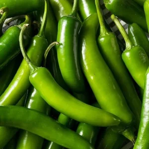 Serrano Pepper Live Plant - 2 Plants per 4-inch Pot, 100 Days Old, Hot Pepper Plant for Year-Round Harvest - Image 8