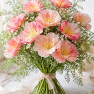 Silky Chiffon Poppy Seeds - Appleblossom, 100 Seeds, Delicate Pink & Apricot Blooms, Outdoor - Image 4