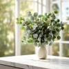 Silver Dollar Eucalyptus Seeds - 10 Seeds, Fragrant Foliage, Eucalyptus Polyanthemos - Image 1