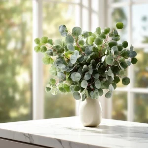 Silver Dollar Eucalyptus Seeds - 10 Seeds, Fragrant Foliage, Eucalyptus Polyanthemos - Image 1