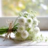 Snowmaiden Scabiosa Seeds - 50 Count White Pincushion Flowers for Gardens - Image 1
