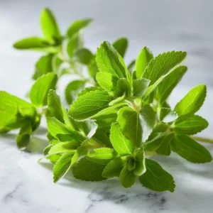 Stevia Sugar Leaf Seeds - 50 Heirloom Natural Sweetener Plant Seeds - Image 2