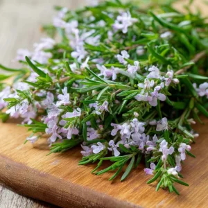 Summer Savory Herb Seeds - 200 Heirloom Culinary Herb Seeds for Garden - Image 1