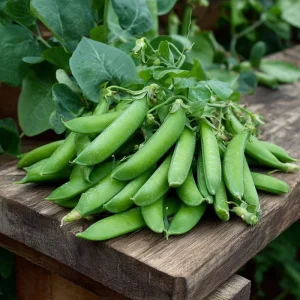 Super Sugar Snap Pea Seeds - High-Yield Climbing Variety (20 Seeds) - Image 2