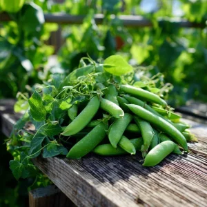 Super Sugar Snap Pea Seeds - High-Yield Climbing Variety (20 Seeds) - Image 3