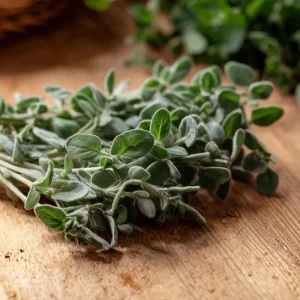 Sweet Marjoram Seeds – Origanum majorana – 150 Seeds – Culinary Heirloom Herb - Image 3