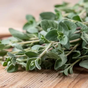 Sweet Marjoram Seeds – Origanum majorana – 150 Seeds – Culinary Heirloom Herb - Image 5