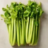 Tendercrisp Celery Seeds - 300 Count Heirloom Vegetable Seeds for Home Garden - Image 1