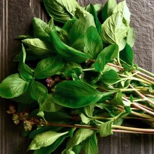 Thai Basil Seeds - Heirloom Culinary Herb, 250 Seeds Packet, Aromatic & Flavorful - Image 2